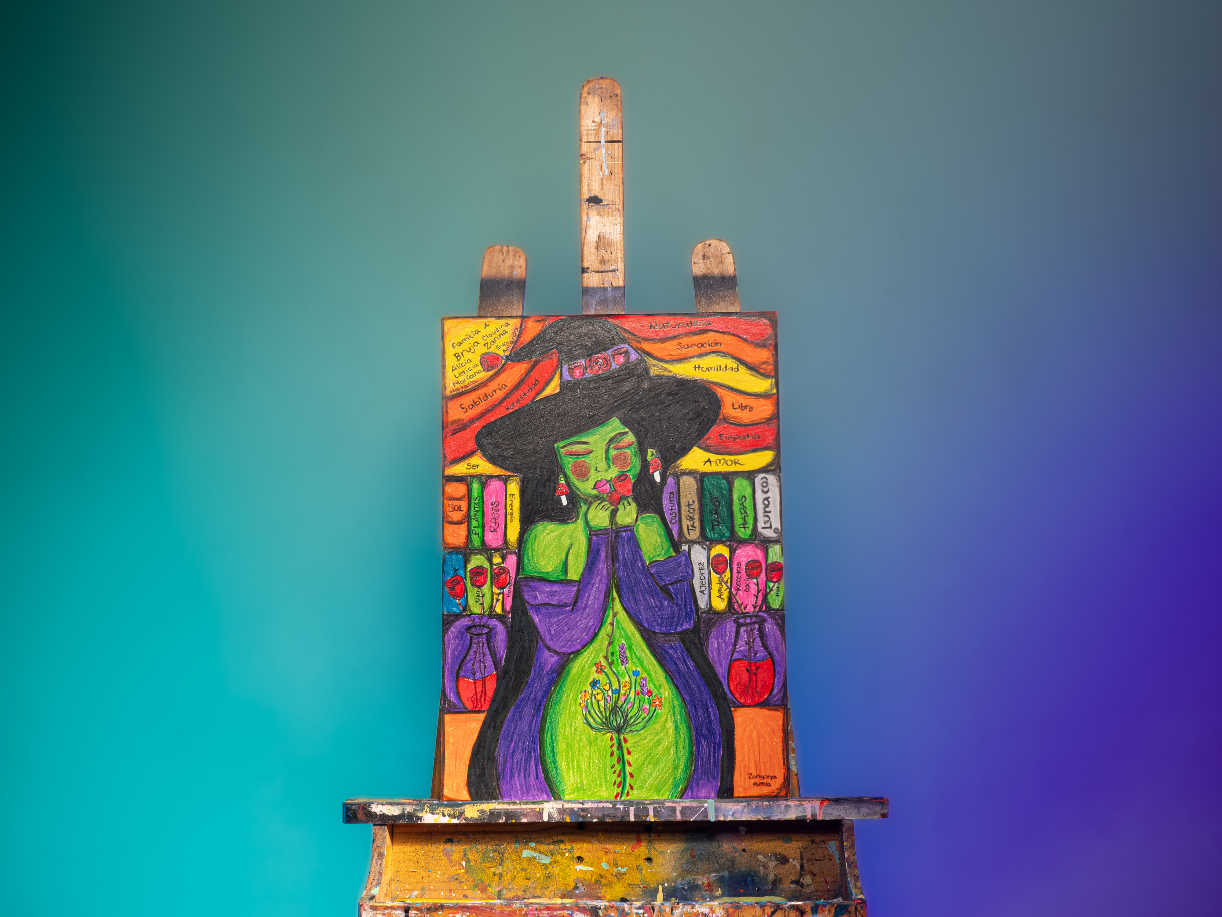 Obra 1 de Zarigüeya